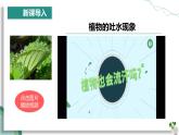 【人教版】七下生物 3.2.1 水的利用与散失（课件+教案+导学案+练习+视频）