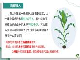 【人教版】七下生物 3.2.1 水的利用与散失（课件+教案+导学案+练习+视频）