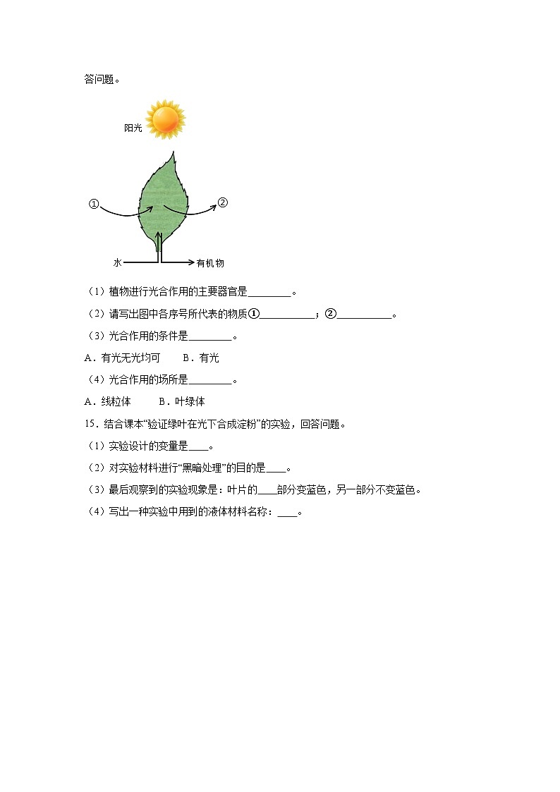 3.2.2《光合作用》课时练习第3页