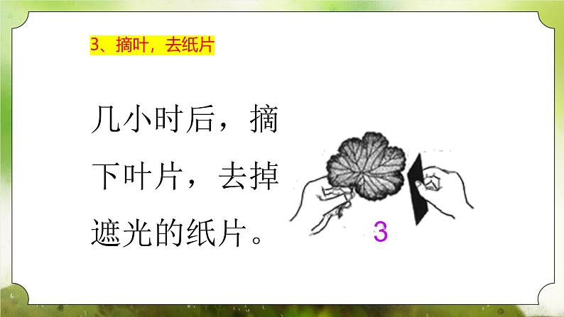 【核心素养】人教版初中生物七年级下册3.2.2《光合作用》课件第7页