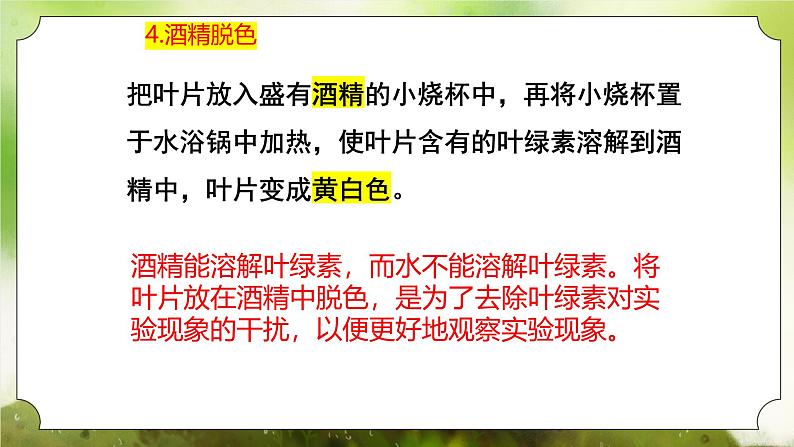 【核心素养】人教版初中生物七年级下册3.2.2《光合作用》课件第8页