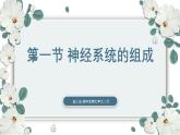 【核心素养目标】冀少版初中生物七年级下册第三单元第五章第一节《神经系统的组成》课件+教案表格式
