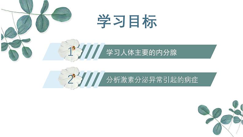 【核心素养目标】冀少版初中生物七年级下册第三单元第五章第四节《激素与生命活动调节》课件第3页