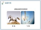 【核心素养目标】冀少版初中生物七年级下册第三单元第五章第四节《运动的完成》课件+教案表格式