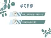 【核心素养目标】冀少版初中生物七年级下册第三单元第五章第三节第一部分《视觉》课件+教案（表格式）