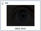 【核心素养目标】冀少版初中生物七年级下册第三单元第五章第三节第一部分《视觉》课件+教案（表格式）