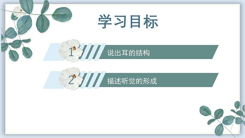 【核心素养目标】冀少版初中生物七年级下册第三单元第五章第三节第二部分《听觉》课件 - 副本第3页