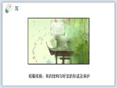 【核心素养目标】冀少版初中生物七年级下册第三单元第五章第三节第二部分《听觉》课件+教案（表格式）