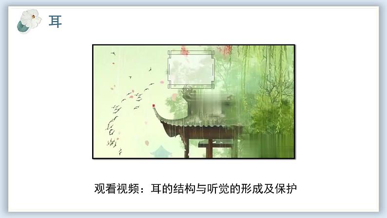 【核心素养目标】冀少版初中生物七年级下册第三单元第五章第三节第二部分《听觉》课件 - 副本第5页