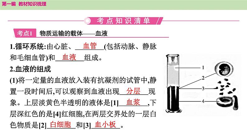 2025年中考知识整理七年级生物上册第十三课时　人体内物质的运输课件PPT第2页