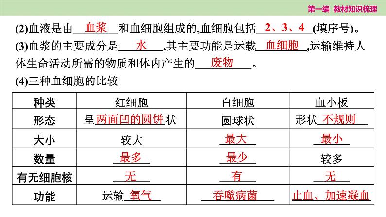 2025年中考知识整理七年级生物上册第十三课时　人体内物质的运输课件PPT第3页