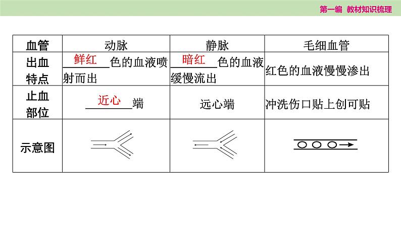 2025年中考知识整理七年级生物上册第十三课时　人体内物质的运输课件PPT第8页