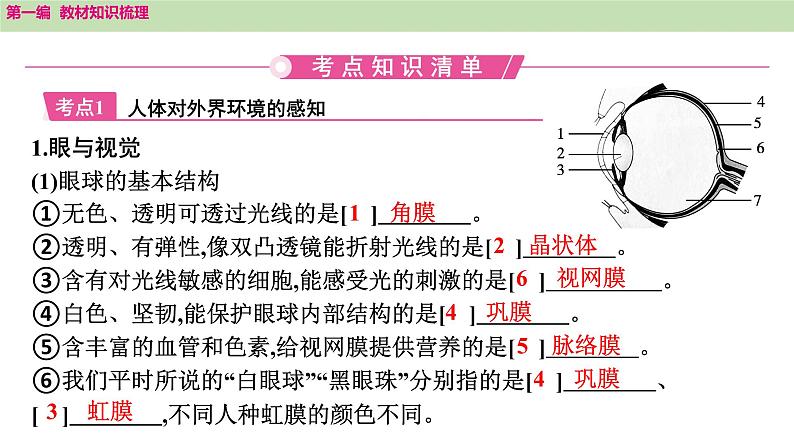 2025年中考知识整理七年级生物上册第十五课时　人体生命活动的调节和人类活动对生物圈的影响课件PPT第2页