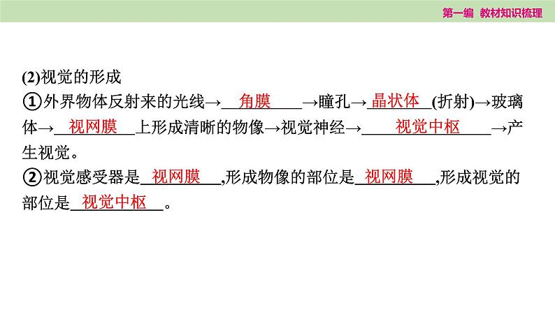 2025年中考知识整理七年级生物上册第十五课时　人体生命活动的调节和人类活动对生物圈的影响课件PPT第3页