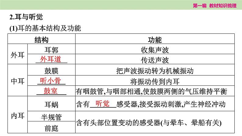 2025年中考知识整理七年级生物上册第十五课时　人体生命活动的调节和人类活动对生物圈的影响课件PPT第6页