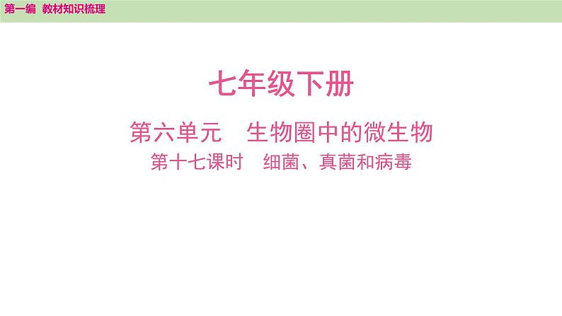 2025年中考知识整理七年级生物上册第十七课时　细菌、真菌和病毒课件PPT第1页