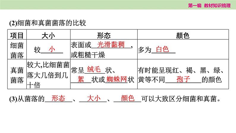 2025年中考知识整理七年级生物上册第十七课时　细菌、真菌和病毒课件PPT第3页