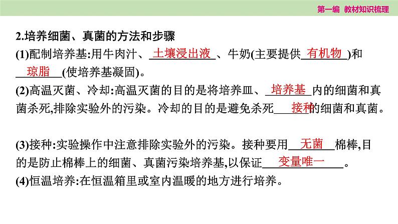 2025年中考知识整理七年级生物上册第十七课时　细菌、真菌和病毒课件PPT第4页