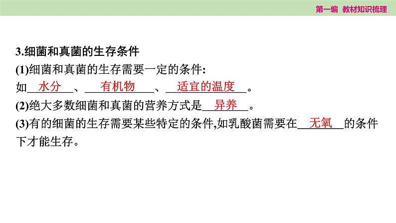 2025年中考知识整理七年级生物上册第十七课时　细菌、真菌和病毒课件PPT第5页