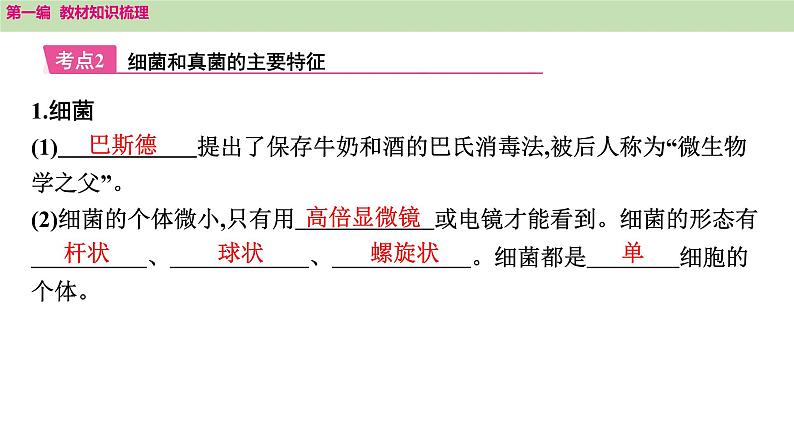 2025年中考知识整理七年级生物上册第十七课时　细菌、真菌和病毒课件PPT第6页