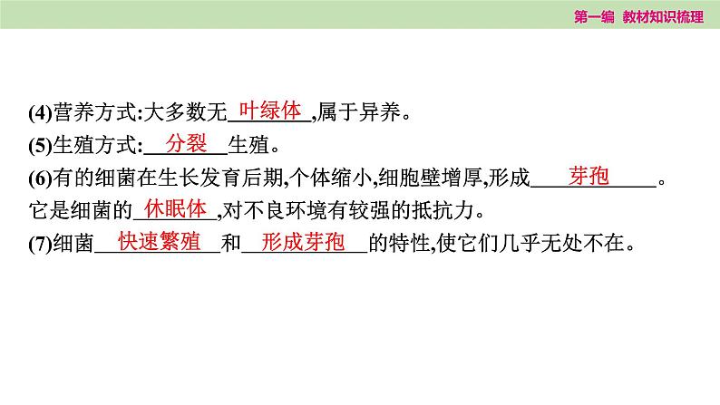 2025年中考知识整理七年级生物上册第十七课时　细菌、真菌和病毒课件PPT第8页