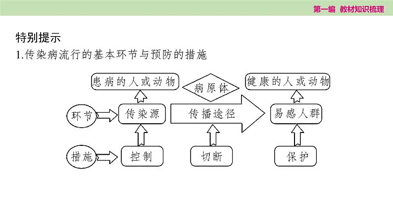 2025年中考知识整理七年级生物上册第十六课时　健康地生活课件PPT第5页