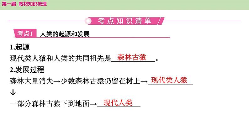 2025年中考知识整理七年级生物上册第十课时　人的由来课件PPT第2页