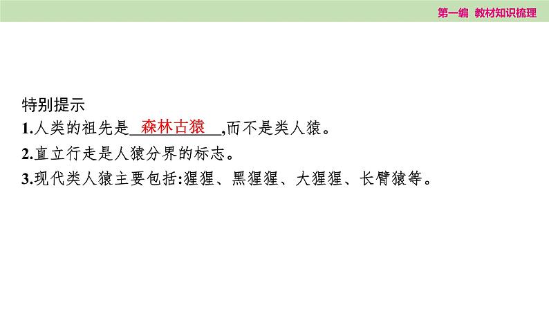 2025年中考知识整理七年级生物上册第十课时　人的由来课件PPT第3页