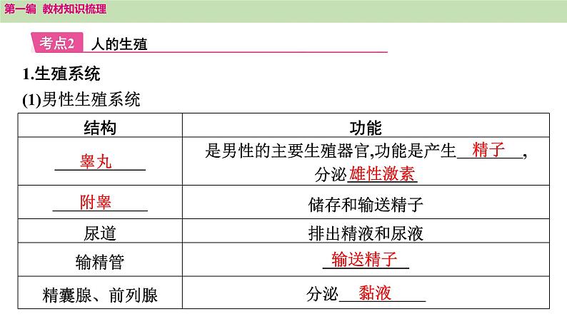 2025年中考知识整理七年级生物上册第十课时　人的由来课件PPT第4页