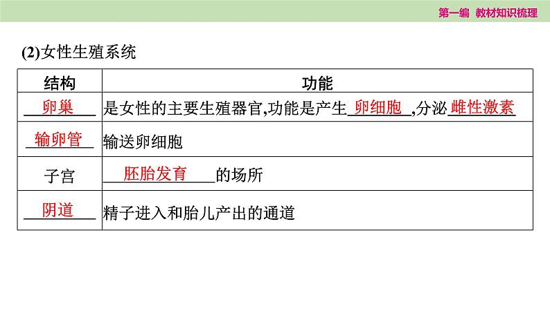 2025年中考知识整理七年级生物上册第十课时　人的由来课件PPT第5页