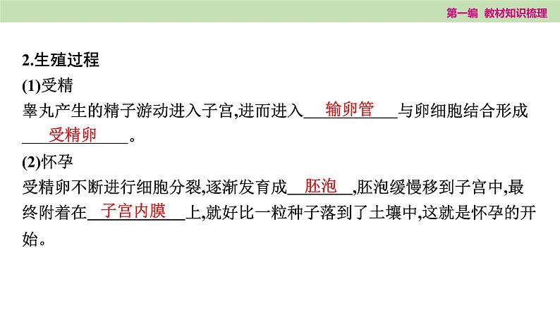 2025年中考知识整理七年级生物上册第十课时　人的由来课件PPT第6页