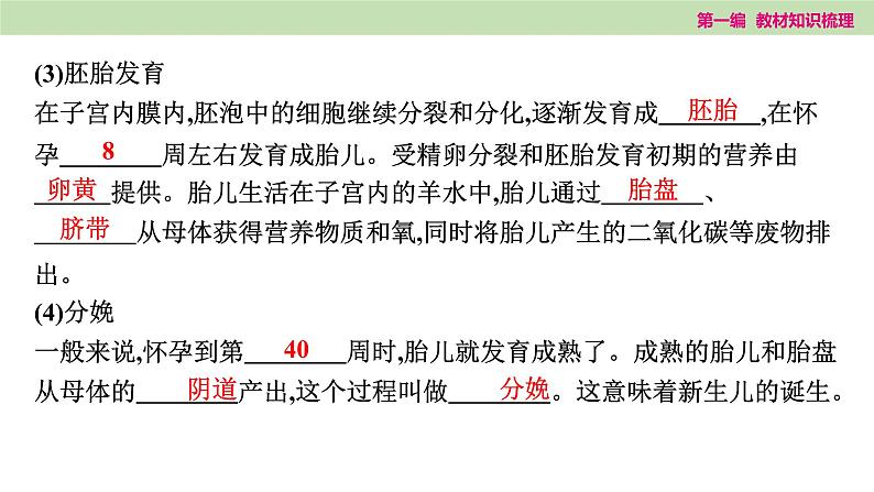 2025年中考知识整理七年级生物上册第十课时　人的由来课件PPT第7页