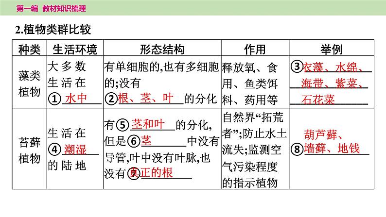 2025年中考知识整理六年级下册--1.第五课时　生物圈中有哪些绿色植物课件PPT第3页