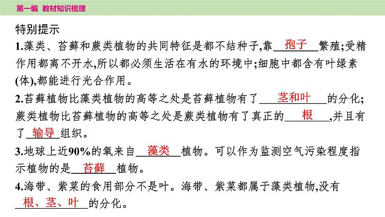 2025年中考知识整理六年级下册--1.第五课时　生物圈中有哪些绿色植物课件PPT第6页