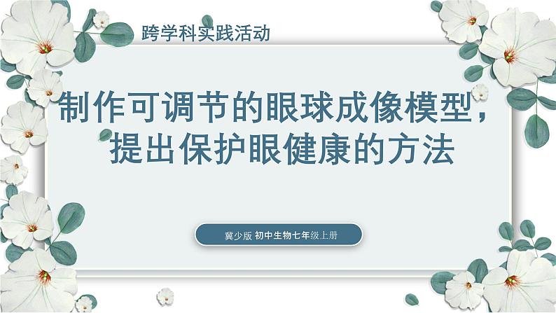 【核心素养目标】冀少版初中生物七年级下册跨学科实践活动《制作可调节的眼球成像模型，提出保护眼健康的方法》课件第1页