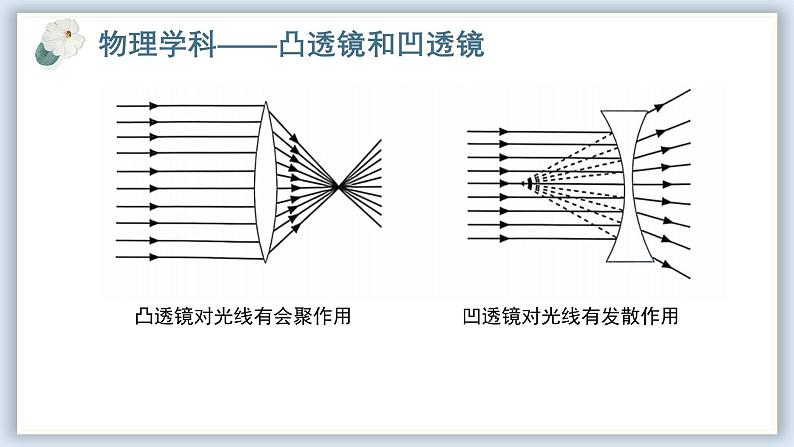 【核心素养目标】冀少版初中生物七年级下册跨学科实践活动《制作可调节的眼球成像模型，提出保护眼健康的方法》课件第6页