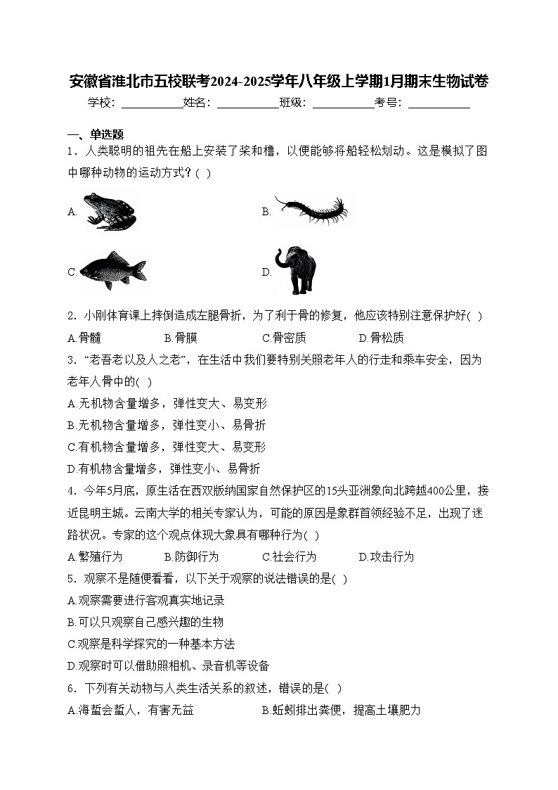 安徽省淮北市五校联考2024-2025学年八年级上学期1月期末生物试卷(含答案)第1页