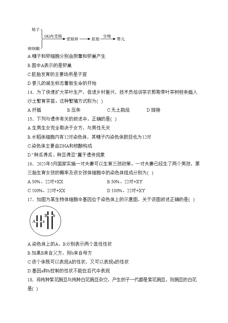 安徽省淮北市五校联考2024-2025学年八年级上学期1月期末生物试卷(含答案)第3页