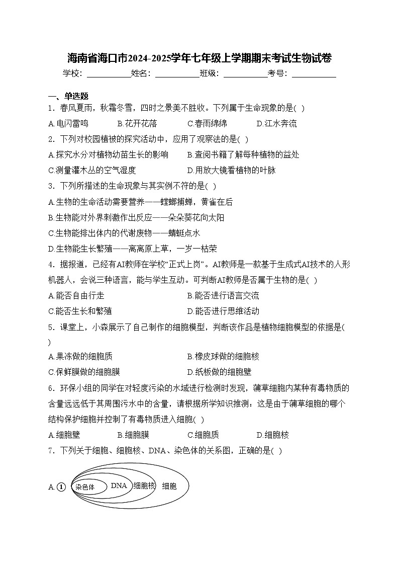 海南省海口市2024-2025学年七年级上学期期末考试生物试卷(含答案)第1页