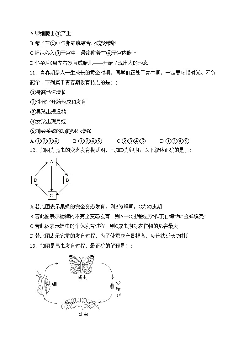 海南省三亚市2024-2025学年八年级上学期期末生物试卷(含答案)第3页