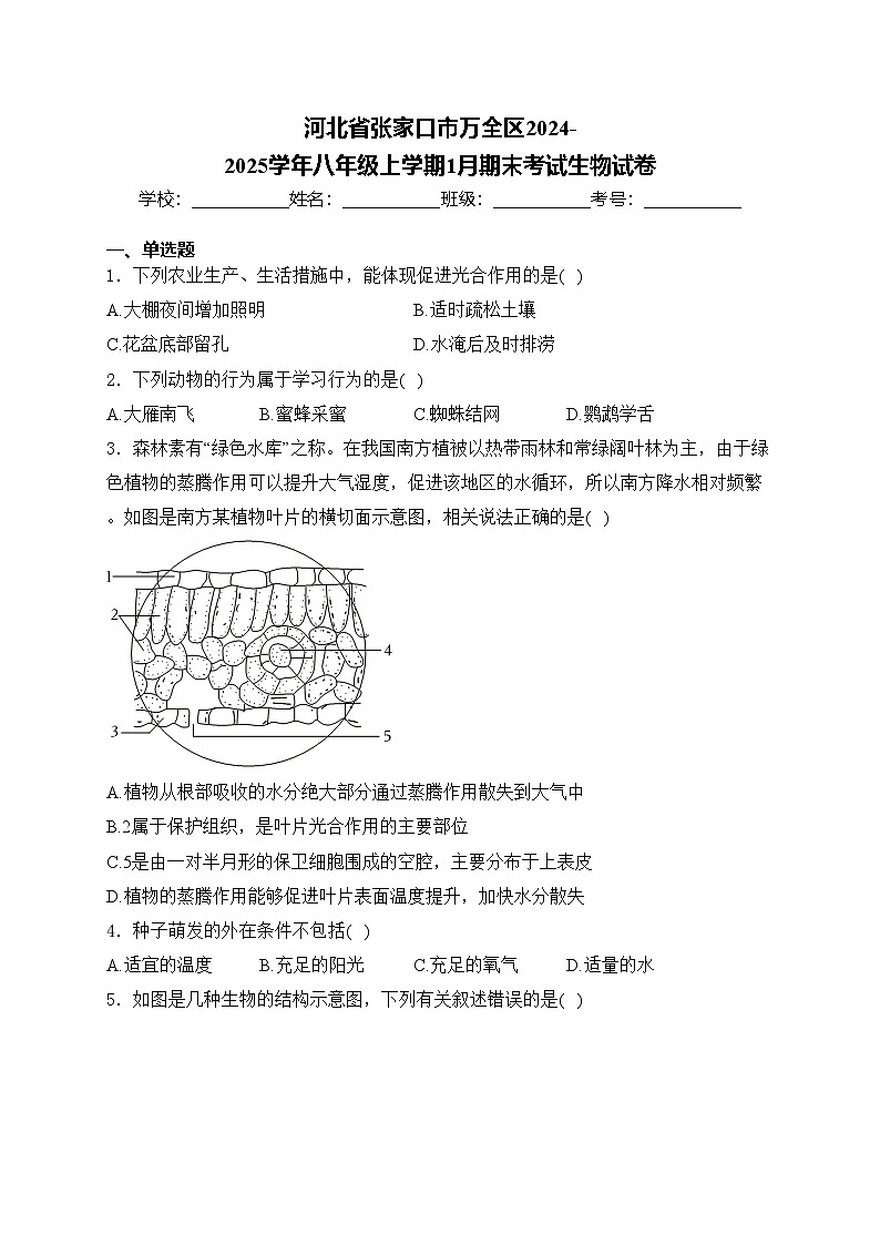 河北省张家口市万全区2024-2025学年八年级上学期1月期末考试生物试卷(含答案)第1页