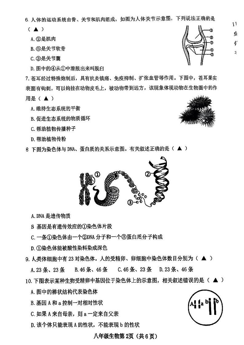 山西省晋中市太谷区2024-2025学年第一学期期末质量检测卷八年级生物（pdf版，含答案）第2页