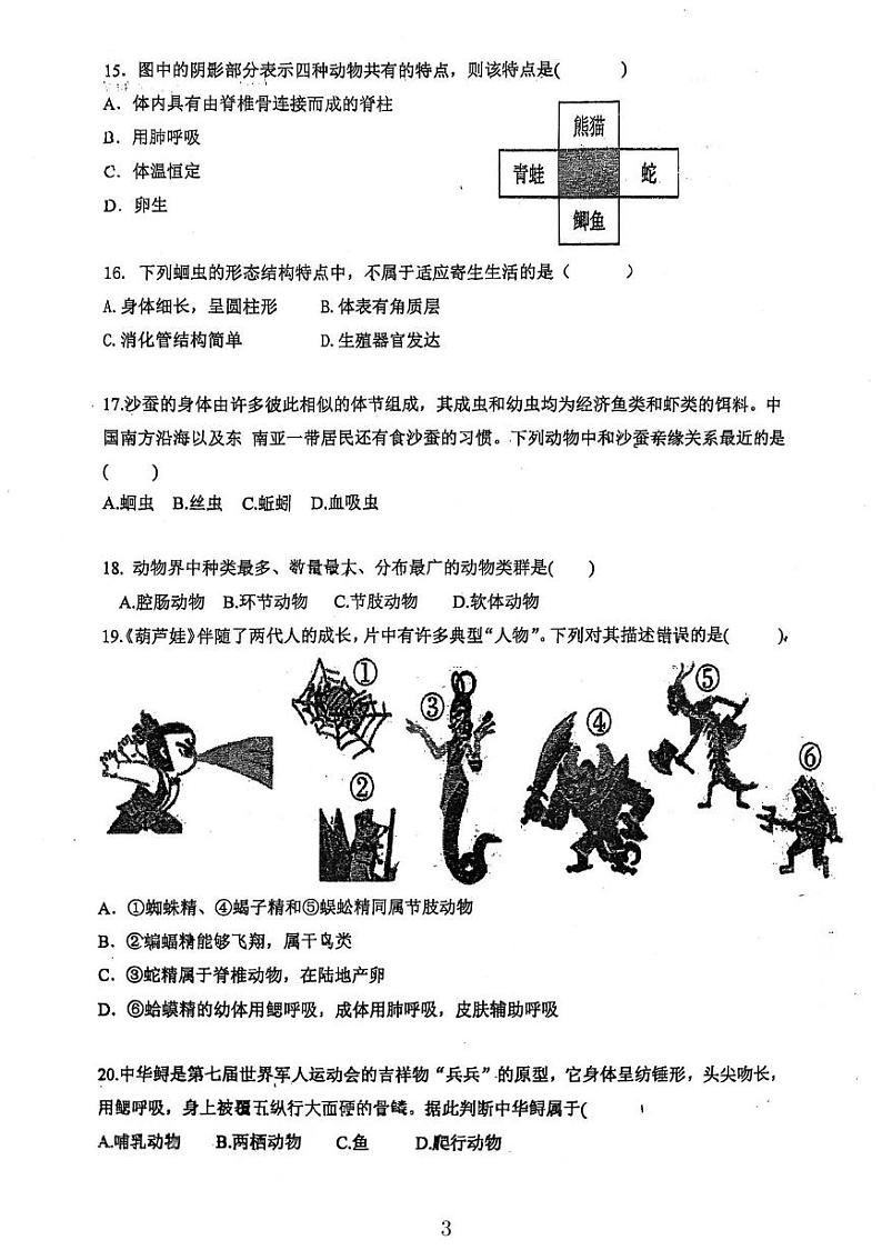 广东省江门市鹤山市昆仑学校2024-2025学年八年级上学期第一次月考生物学试卷第3页