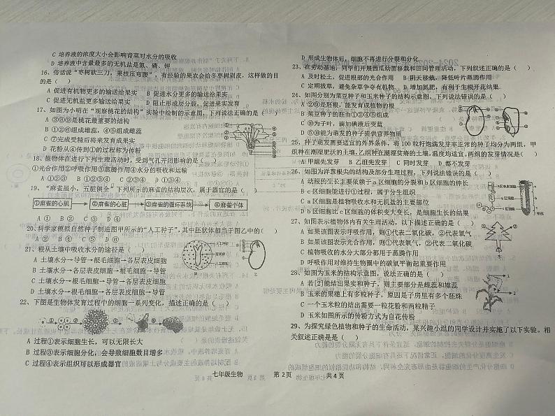 河北省衡水市第七中学2024-2025学年七年级上学期期末考试生物试题第2页