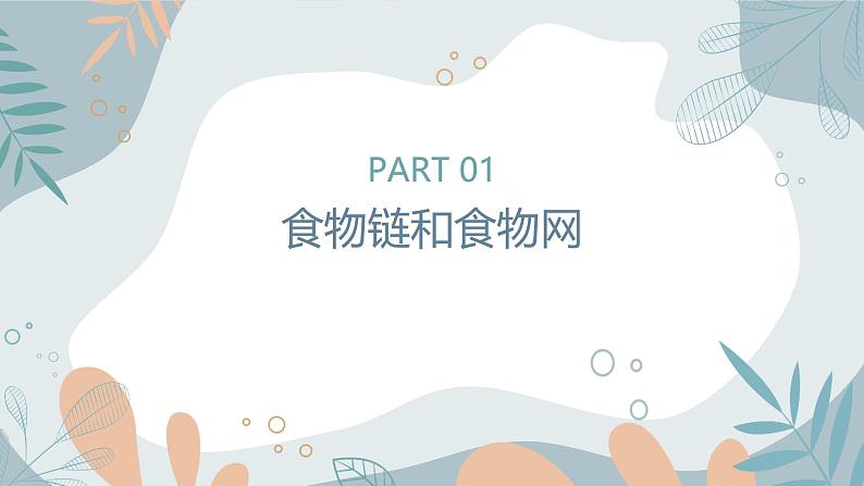 【核心素养目标】苏教版初中生物七年级下册3.7.2《食物链和食物网》课件第4页