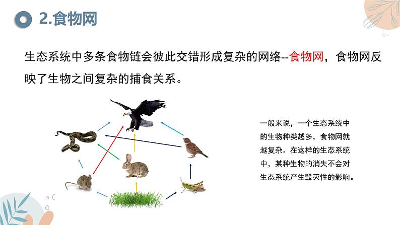 【核心素养目标】苏教版初中生物七年级下册3.7.2《食物链和食物网》课件第8页