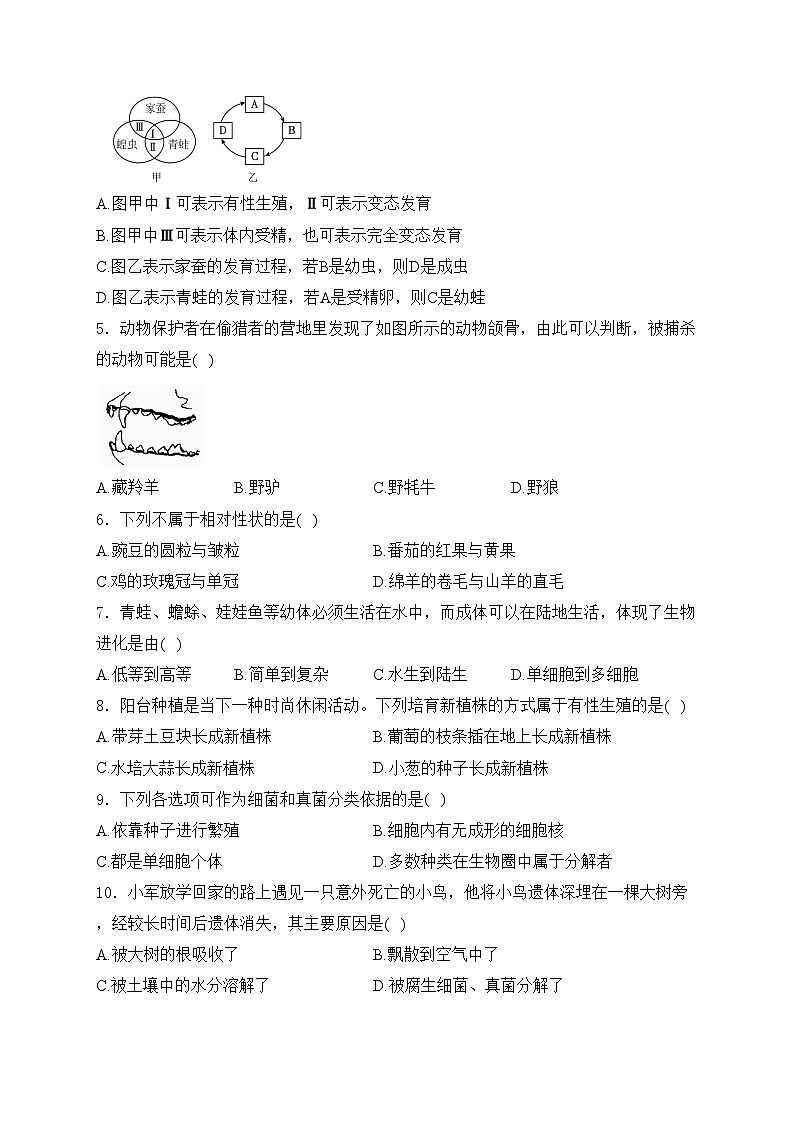 吉林省吉林市永吉县2024-2025学年八年级上学期期末考试生物试卷(含答案)第2页