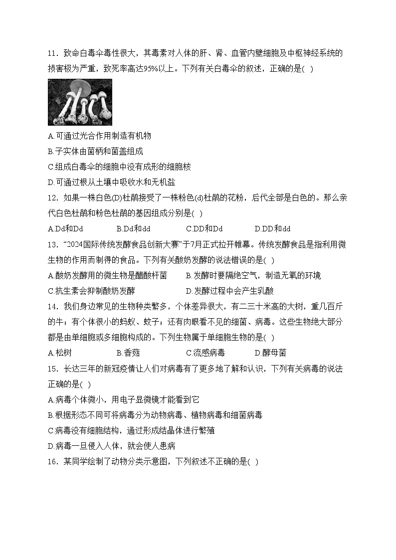 吉林省吉林市永吉县2024-2025学年八年级上学期期末考试生物试卷(含答案)第3页