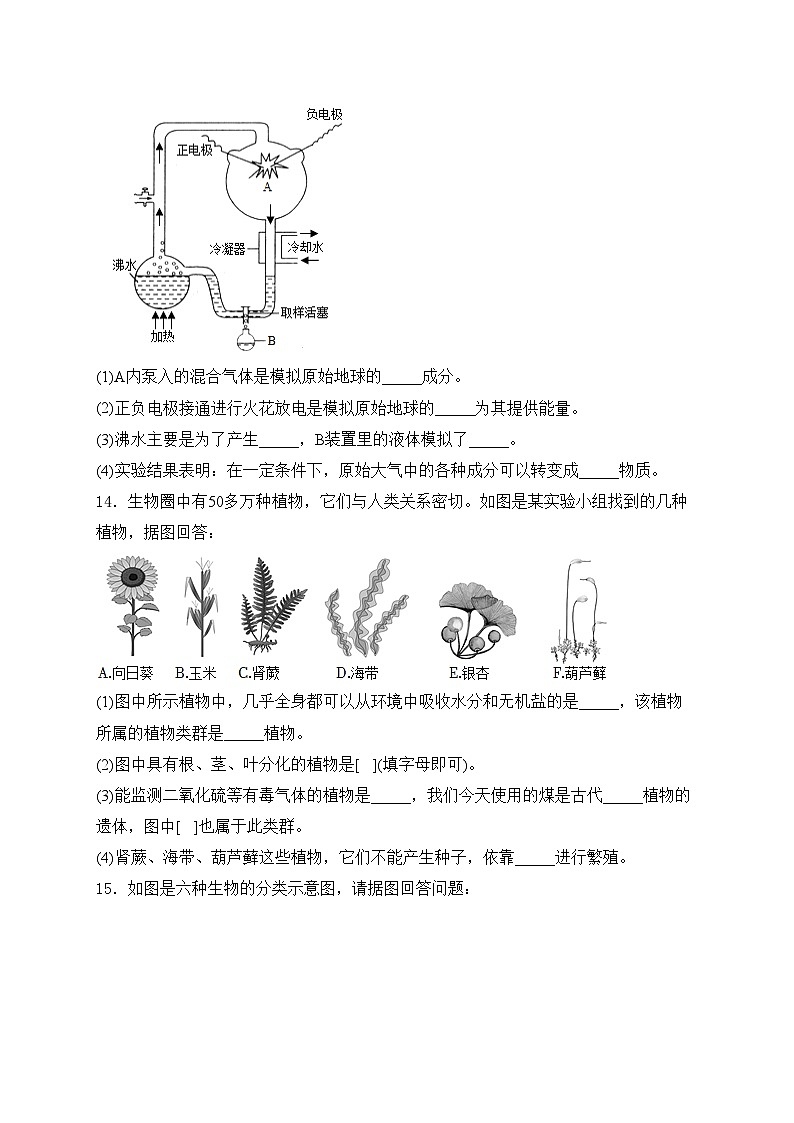 辽宁省鞍山市海城市东部集团2024-2025学年八年级上学期12月月考生物试卷(含答案)第3页