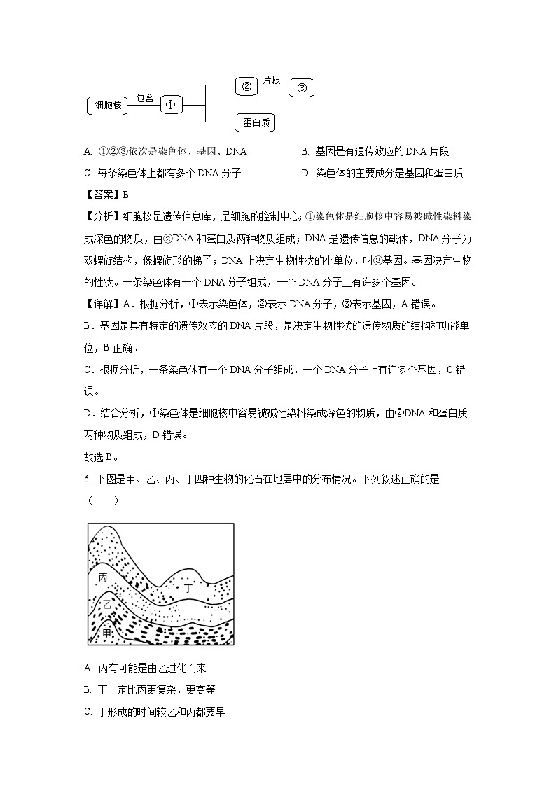 2023-2024学年甘肃省酒泉市金塔县八年级上学期期末生物试卷（解析版）第3页